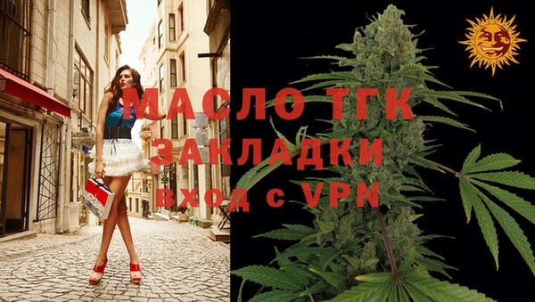 СК Алексин