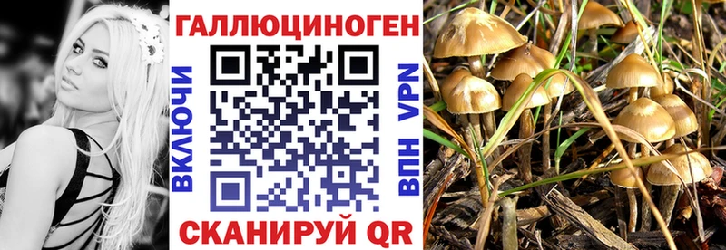 KRAKEN ССЫЛКА  Правдинск  Псилоцибиновые грибы Magic Shrooms 