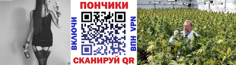 Шишки марихуана семена  Правдинск 